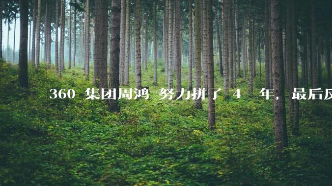360 集团周鸿袆努力拼了 4  年，最后反而跌了近 4000 亿，其原因是什么？